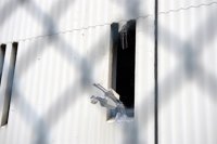 Cuatro presos se fugan de una cárcel de Berlín tras hacer un agujero en el muro