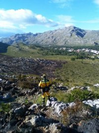 Extinguido el incendio forestal de Pollença, que ha quemado 79,5 hectáreas de matorral