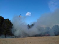 Efectivos del Plan Infomur extinguen un incendio forestal en el Paraje El Esparragal, en Calasparra
