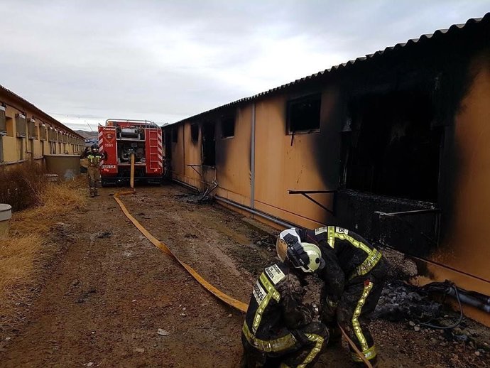 Unos 250 animales han muerto en el incendio de esta granja en Remolinos