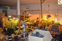 Detienen a un hombre por tráfico de drogas en Tenerife