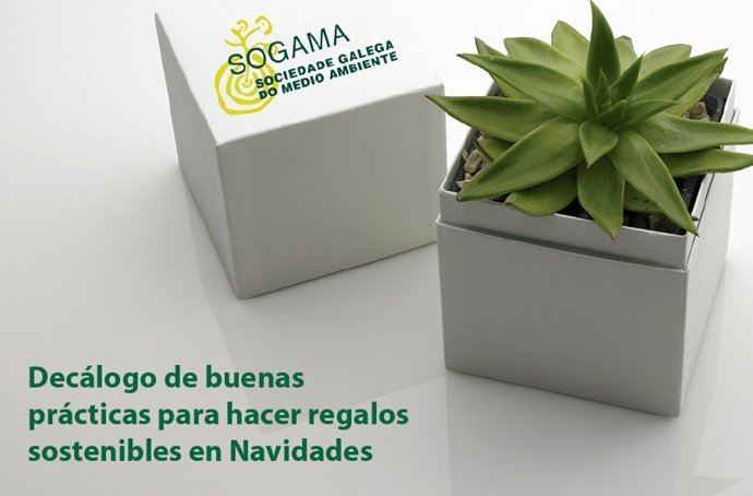 Decálogo de buenas prácticas de Sogama