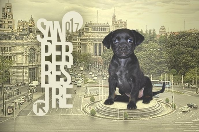 Cartel de la 'San Perrestre' 2017