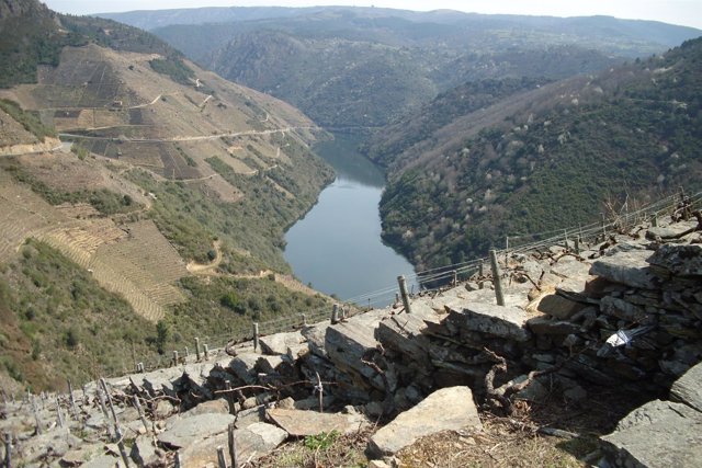 Ribeira Sacra, entre Ourense y Lugo