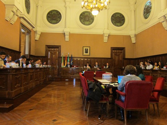 Pleno en la Diputación de Jaén                      