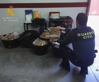 Seis detenidos acusados de picar, envasar y distribuir tabaco de contrabando