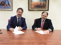 Fundación Cajasur ofrece 50 becas a estudiantes de la Universidad de Córdoba