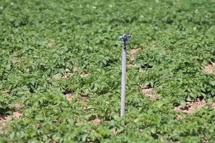 Riego. Regadío. Sequía. Agua