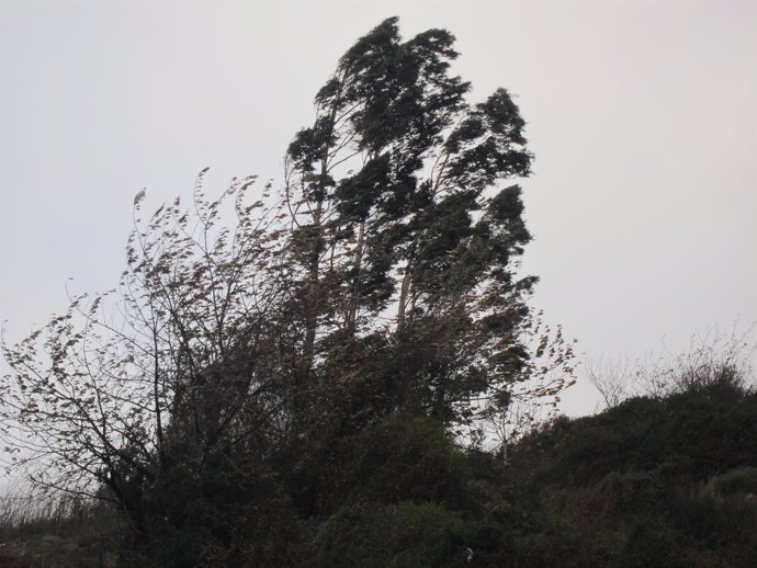 Fuerte racha de viento                     