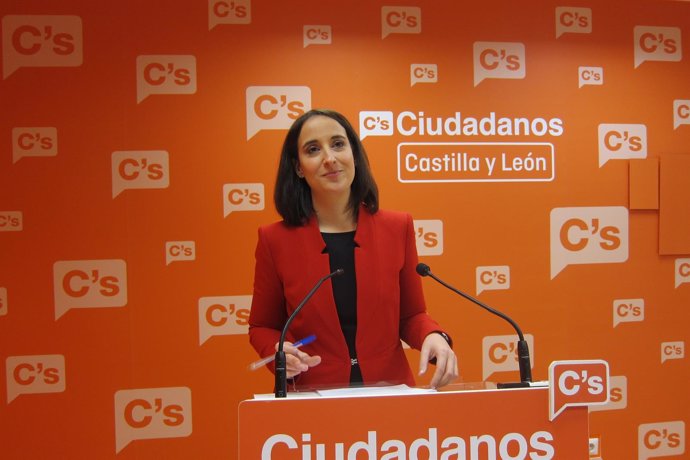 La coordinadora de Ciudadanos en Castilla y León, Pilar Vicente
