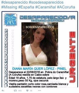 Alerta de la desaparición de Diana María Quer López-Pinel