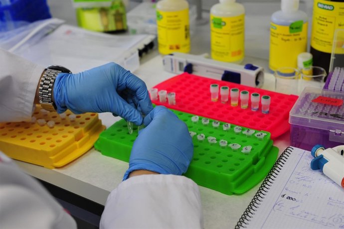 Centro de Investigación Biomédica de Aragón