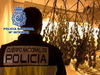 Desmantelada plantación de marihuana cultivada en un garaje de Cartagena