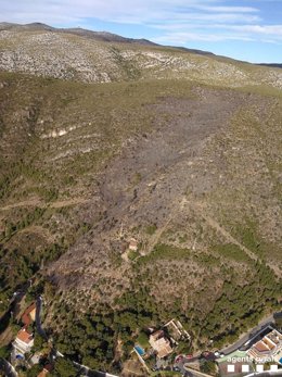 Vista aérea de la superfície quemada en el incendio forestal de Castelldefels