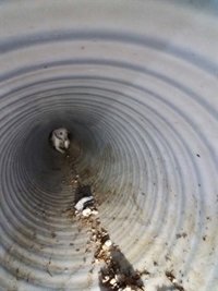 Los bomberos rescatan a dos perros atrapados en una tubería en Arganda del Rey