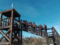 Medio Natural trabaja para proteger a la malvasía y mejorar el espacio ZEPA de las Lagunas de Campotéjar