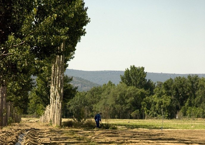 Nota Campaña Arbolado Finca La Haza