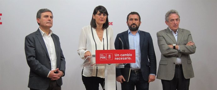 DIPUTADOS CONGRESO Y SENADO PSOE: SAURA, G. VERACRUZ, SOTO, OÑATE            