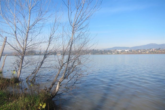 Pantano, Cazalegas, Juncos, Agua, Cielo