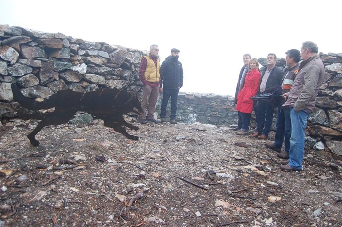 Foxo do Lobo de Pedrosa