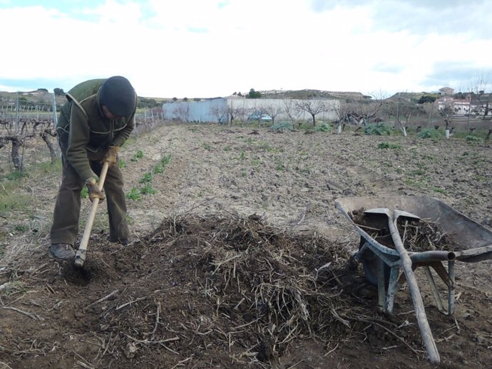 Trabajador agrario, trabajo agrario, cultivar, cultivo, cultivando, cultivos