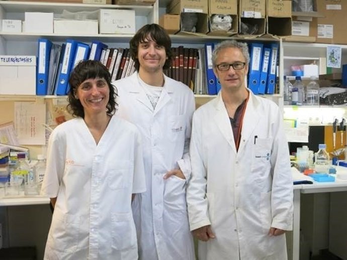 Investigadors del Grup de Senyalització Molecular de l'Idibell