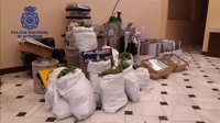 La Policía Nacional detiene a un varón y se incauta de 365 plantas de cannabis en un chalet de Marchena (Sevilla)