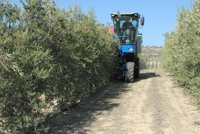 La Guardia Civil sorprende a dos hombres robando en un olivar de Consuegra