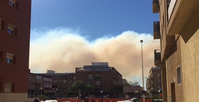 Incendio en el marjal visto desde Puerto de Sagunto