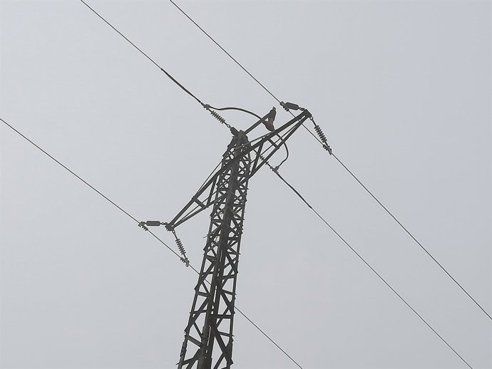 Línia elèctrica d'Endesa