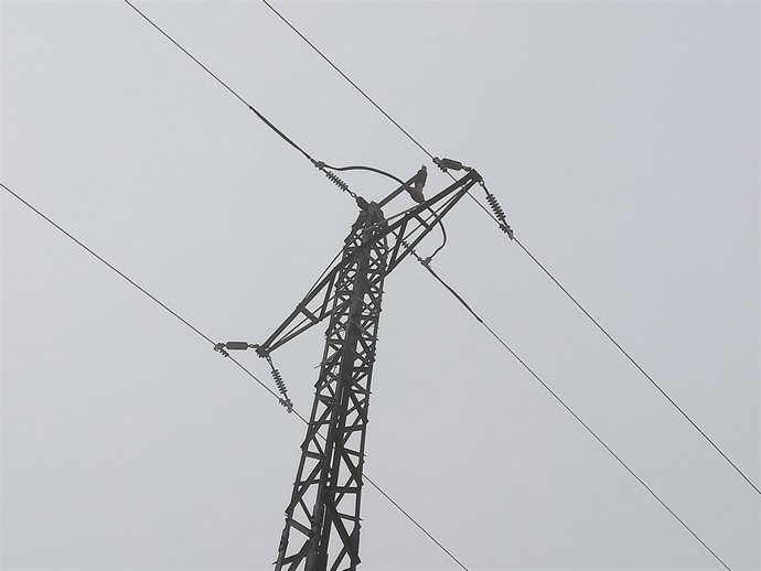 Línia elèctrica d'Endesa