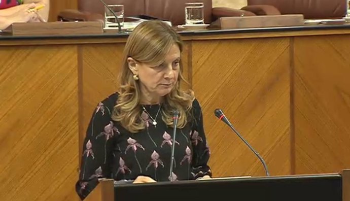 La consejera de Salud, Marina Álvarez, este jueves en el Pleno del Parlamento