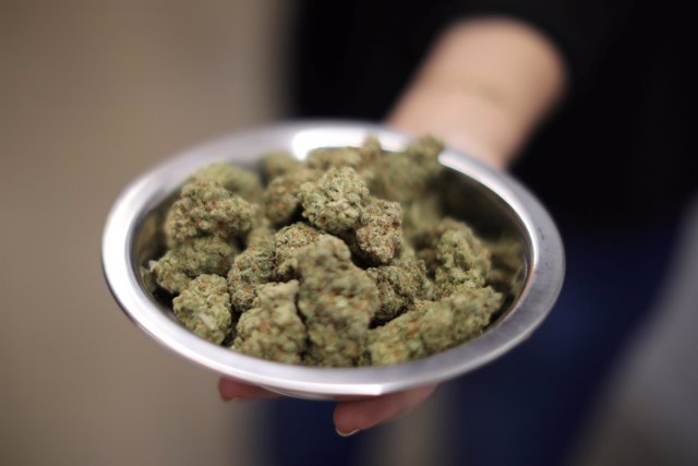 Marihuana a la venta en California
