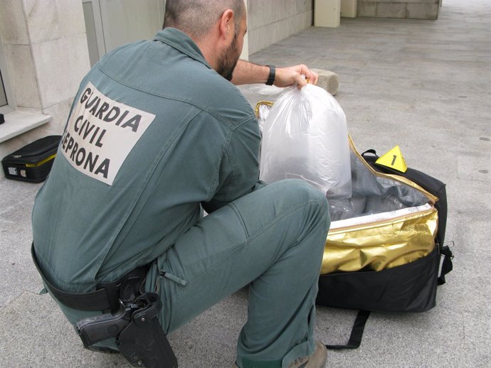 Anguilas intervenidas por la Guardia Civil en el puerto de Tarifa (Cádiz)