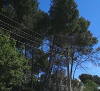 Endesa renueva la red de baja tensión en bosques del Alt Camp, Penedès y Conca de Barberà