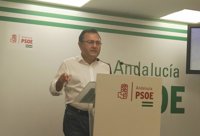 El PSOE de Málaga exige al Gobierno medidas y más inversión para reducir las víctimas de tráfico en la provincia