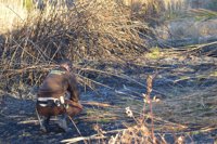 Un incendio en las Revalladores de Almassora (Castellón) calcina 500 m2 de paisaje protegido