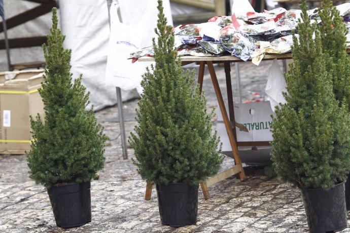 Navidad, navidades, árbol de Navidad, compras