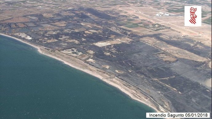 Zona calcinada en el humedal