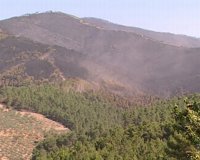 El Gobierno regional convoca la contratación de tratamientos selvícolas para regenerar masas forestales en Las Hurdes