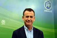 PP-A teme "impunidad y pérdida de millones" por la "estrategia" de Susana Díaz en los ERE "para protegerse"