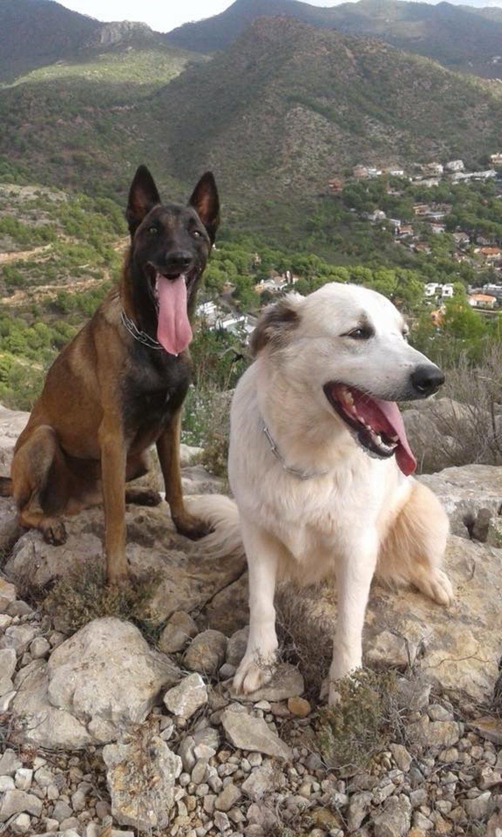 NILO Y OSSA