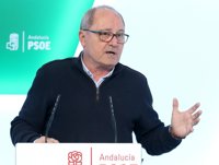 PSOE-A expresa respeto al modelo de "asamblea abierta" de Sánchez y no confirma si Susana Díaz lo acompañará en Granada