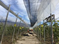 COAG espera líneas de ayuda para "recuperar la capacidad productiva" tras el paso de los tornados