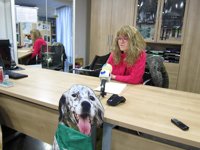 La Protectora de Animales no descarta movilizaciones ante la "paralización" en el Parlamento de la ILP de defensa animal