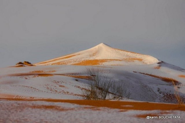 Desierto del Sáhara nevado