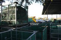 Desarticulan un grupo dedicado al robo de aceitunas en la comarca del Guadalhorce y detienen a diez personas