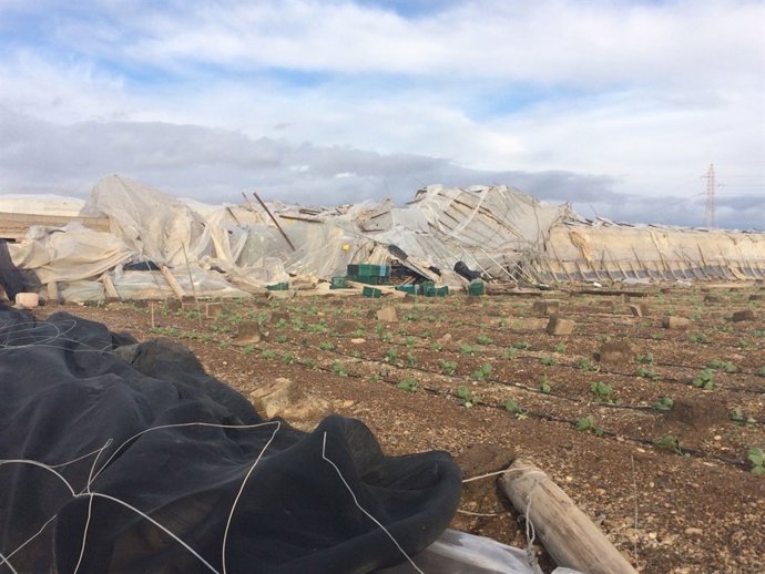Daños causados por el temporal de viento en La Mojonera