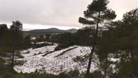 La nieve se deja ver en Utiel (Valencia) mientras las rachas de viento rozan los 100 km/h en el interior de Castellón