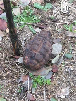 Granada localizada en la Casa de Campo